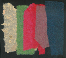 scanned